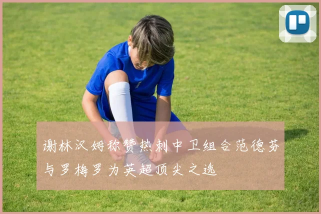 谢林汉姆称赞热刺中卫组合范德芬与罗梅罗为英超顶尖之选